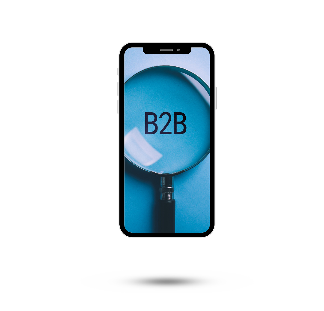 B2B Leads