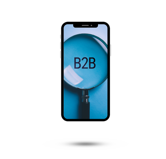 B2B Leads